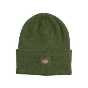 Dickies Men's Tall Cuff Beanie WHC200 - Cypress
